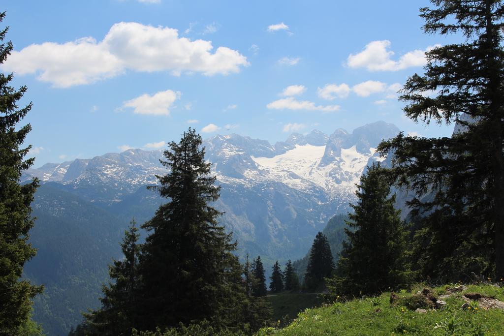 Salzburger Dolomitenhof أنابيرغ ام لاميرتا المظهر الخارجي الصورة