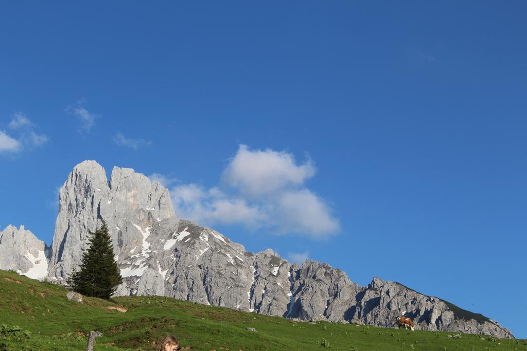 Salzburger Dolomitenhof أنابيرغ ام لاميرتا المظهر الخارجي الصورة