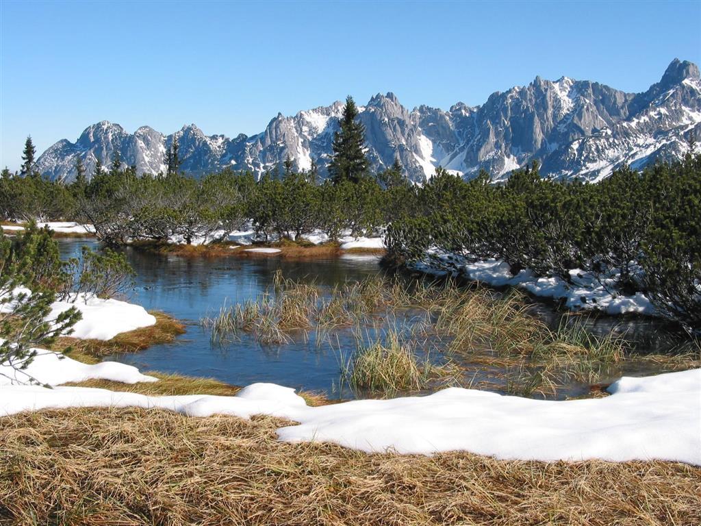 Salzburger Dolomitenhof أنابيرغ ام لاميرتا المظهر الخارجي الصورة