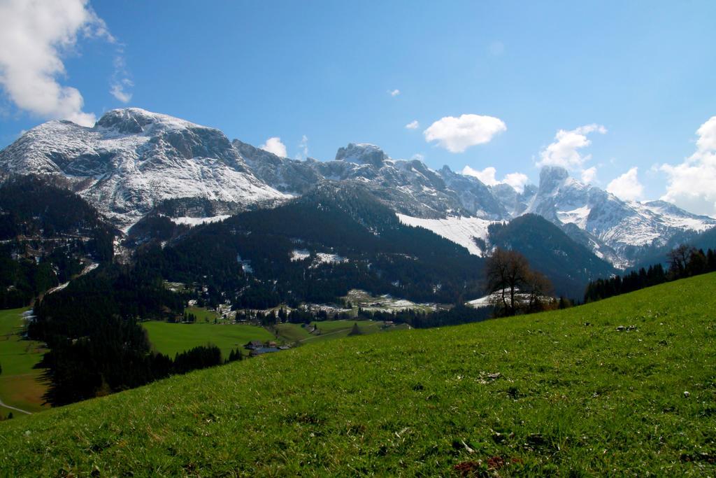 Salzburger Dolomitenhof أنابيرغ ام لاميرتا المظهر الخارجي الصورة