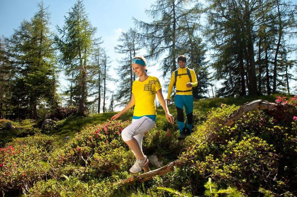 Salzburger Dolomitenhof أنابيرغ ام لاميرتا المظهر الخارجي الصورة