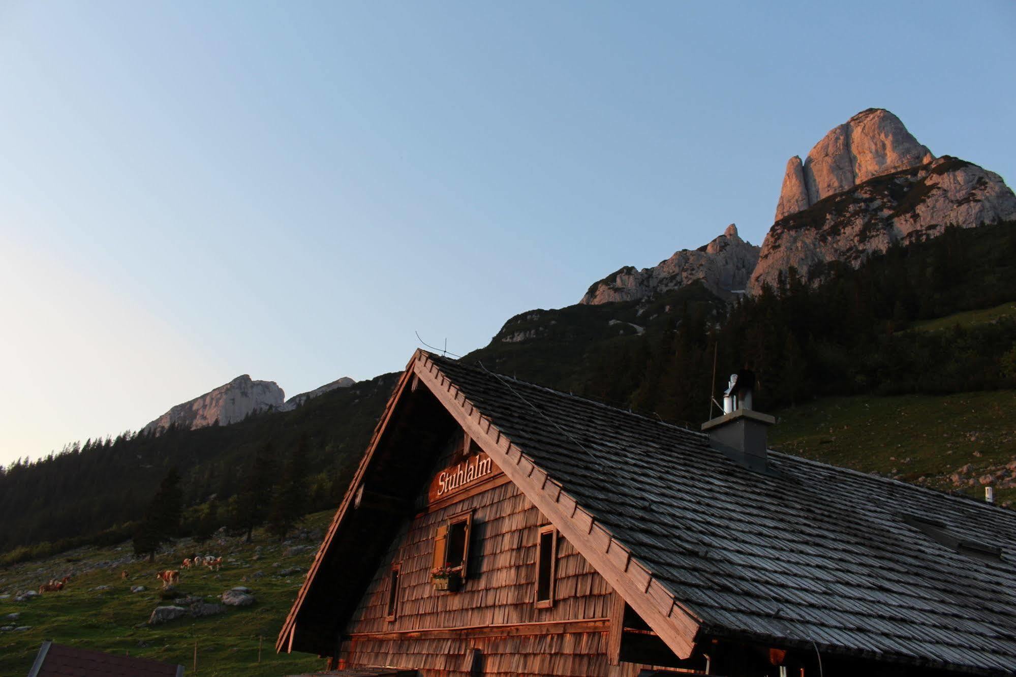 Salzburger Dolomitenhof أنابيرغ ام لاميرتا المظهر الخارجي الصورة