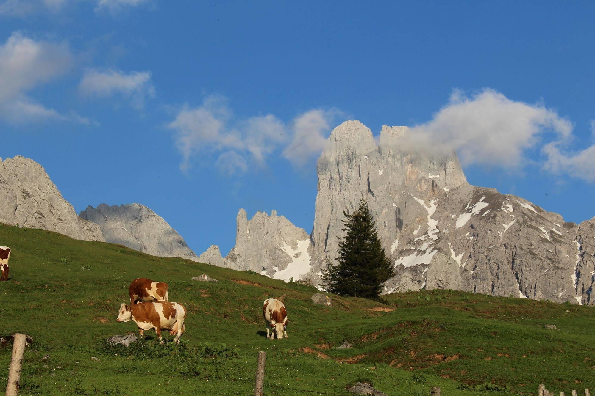 Salzburger Dolomitenhof أنابيرغ ام لاميرتا المظهر الخارجي الصورة
